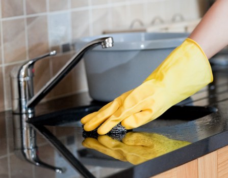 Close-up of carpet cleaning process in a home setting