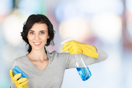 Cleaner working in a typical E5 flat with access considerations