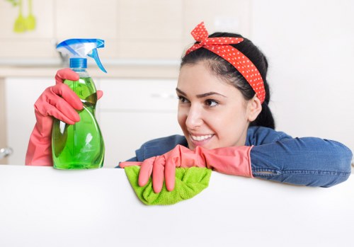 Professional cleaner carrying out a detailed kitchen and bathroom clean