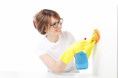 Domestic cleaning support for houses and apartments near E5