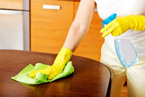 Cleaner detailing bathroom fixtures during a move-out clean in E5