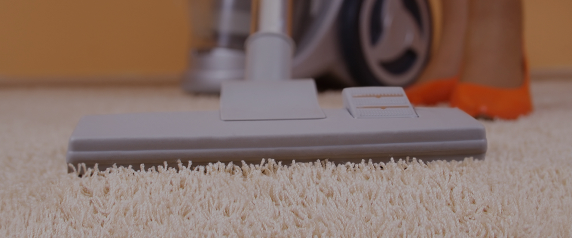 Carpet Cleaning E5